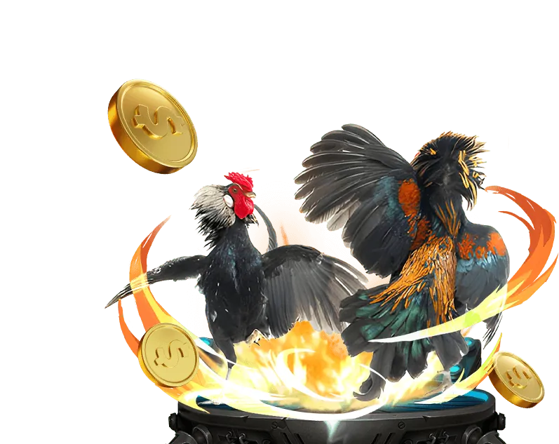 Hướng dẫn luật đá gà Thomo cpc3 chi tiết