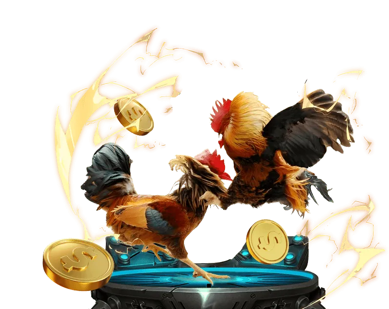 Biện pháp bảo mật kỹ thuật như mã hóa SSL và tường lửa tại đá gà thomo cpc3